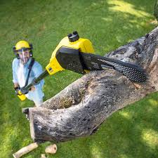 Best Utility Line Clearance  in Latimer, MS