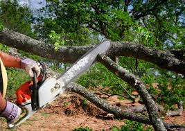 Best Lawn Irrigation Installation and Maintenance  in Latimer, MS